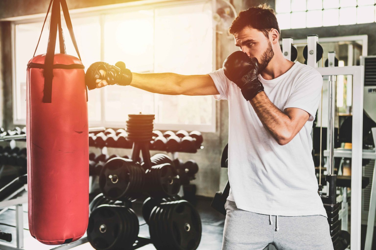 Portrait sporty men with the back boxing gloves training at the gym