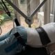 Patient recovering after spinal decompression therapy with guidance from a chiropractor | Post Spinal Decompression Therapy Recovery